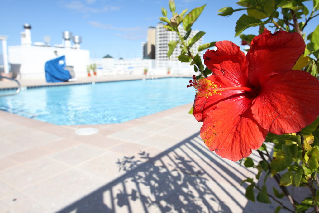 אושן סיטי Princess Bayside Beach Hotel מראה חיצוני תמונה
